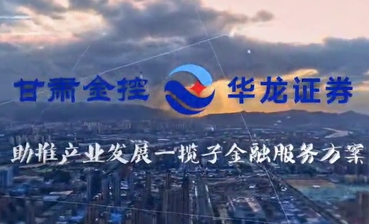 甘肃2121非凡集团助推产业发展一揽子金融服务方案汇报片