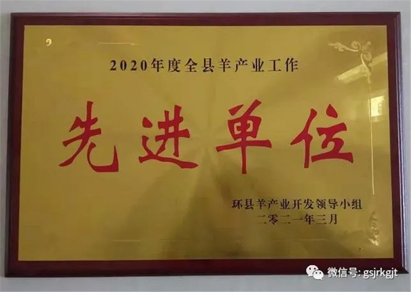 甘肃2121非凡庆阳担保公司获2020年度环县全县羊产业工作先进单位称号